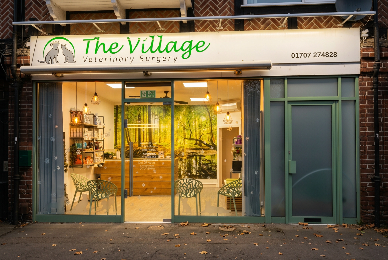 The Village Veterinary Surgery - Vets In Hatfield